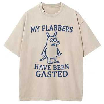 Personality fashion My Flabbers Have Been Gasted Funny Meme Washed T-Shirt