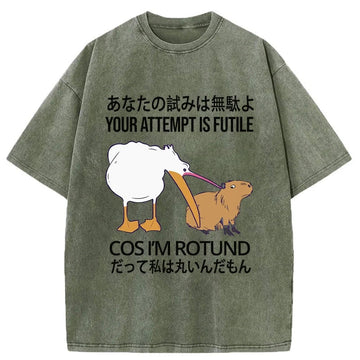 Personality fashion Your Attempts Are In Vain Washed T-Shirt