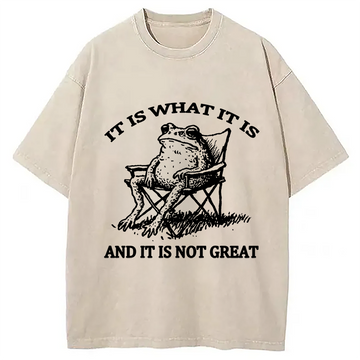 Personality fashion Resting Frog Funny Washed T-Shirt