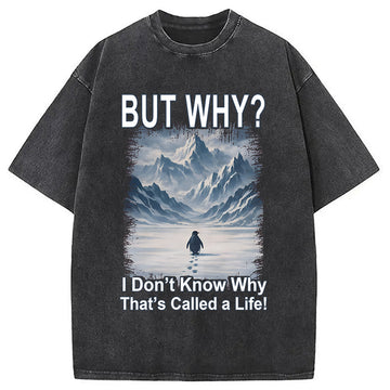 Personality fashion But Why Mountain Nihilist Penguin Washed T-Shirt