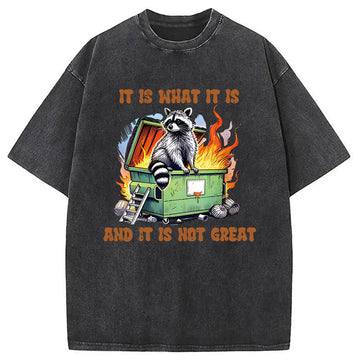 Personality fashion It is What Not Great Raccoon Meme Washed T-Shirt