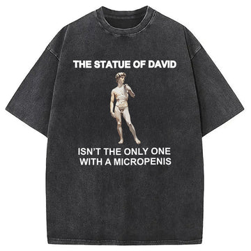 Personality fashion The Statue Of David Meme Washed T-Shirt