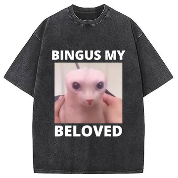 Personality fashion Bald Bingus My Beloved Hairless Sphinx Cat Washed T-Shirt