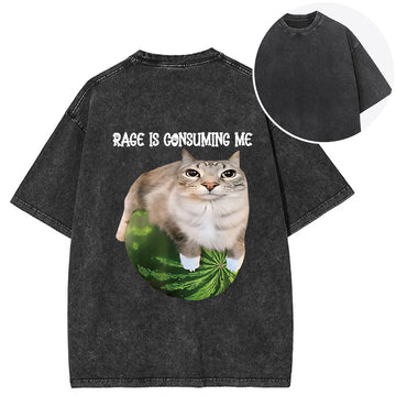 Personality fashion Rage Is Consuming Me Cat Meme Back Washed T-Shirt