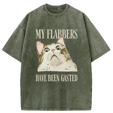 Personality fashion My Flabbers Have Been Gasted Cat Meme Washed T-Shirt