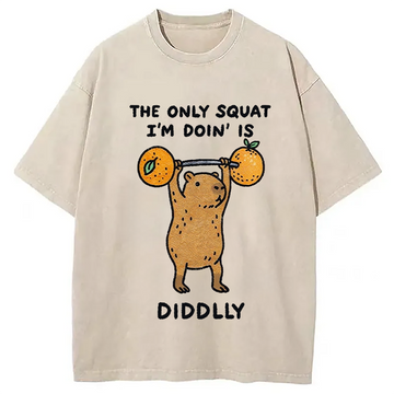 Personality fashion Diddly Capybara Washed T-Shirt