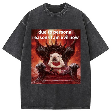 Personality fashion Due To Personal Meme Washed T-Shirt