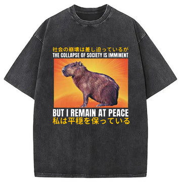 Personality fashion The Collapse of Society is Imminent Washed T-Shirt