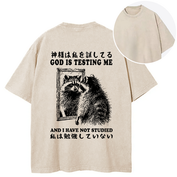 Personality fashion Raccoon Not Studied Back Washed T-Shirt