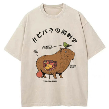 Personality fashion Capybara Anatomy Washed T-Shirt