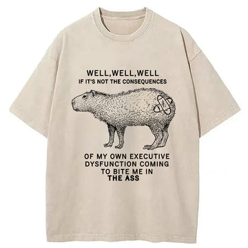 Personality fashion Stupid Capybara Washed T-Shirt