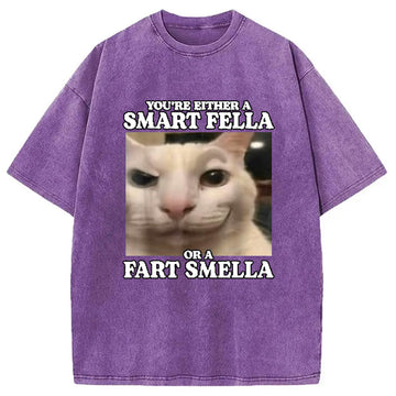 Personality fashion You're Either a Smart Fella Washed T-Shirt