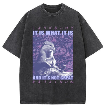 Personality fashion Frustrated Otter Japanese Washed T-Shirt