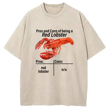 Personality fashion Pros And Cons Washed T-Shirt