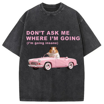 Personality fashion Im Going Insane Funny Meme Washed T-Shirt