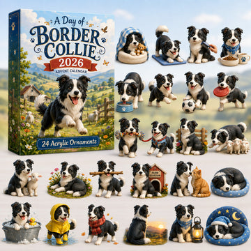 A Day Of Border Collie Advent Calendar 2026 24 Day Festive Countdown Acrylic Charms Blind Box Gift For Border Collie