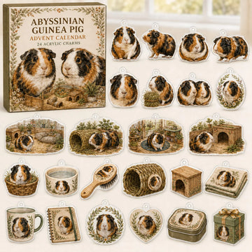 Abyssinian Guinea Pig Advent Calendar 2026 - 24-Day Countdown, Acrylic Charms