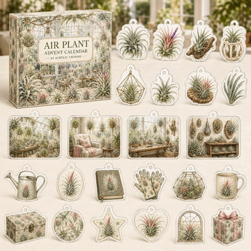 Air Plant Advent Calendar 2026 - 24-Day Countdown, Acrylic Charms
