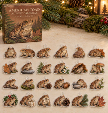 American Toad advent calendar with 24 custom-shaped flat acrylic charms and printed dimensional artwork 2026 - 24-Day Countdown, Acrylic Charms