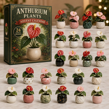 Anthurium Garden Advent Calendar 2026 - 24-Day Countdown, Acrylic Charms Every Day Bring New Suprises