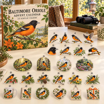 Baltimore Oriole Advent Calendar 2026 - 24-Day Countdown, Acrylic Charms