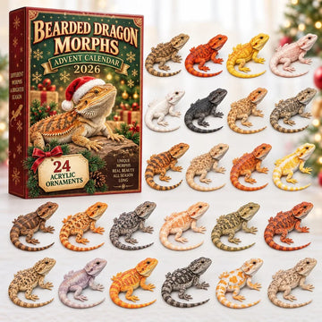 Bearded Dragon Morphs Advent Calendar 2026 - 24-Day Countdown, Acrylic Charms
