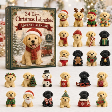 Christmas Labrador advent calendar_http__