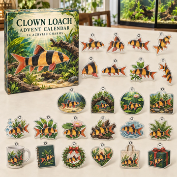Clown Loach Advent Calendar 2026 - 24-Day Countdown, Acrylic Charms Every Day Bring New Suprises