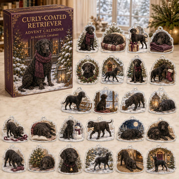 Curly Coated Retriever Winter Advent Calendar 2026 - 24-Day Countdown, Acrylic Charms