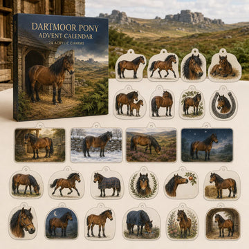 Dartmoor Pony Advent Calendar 2026 - 24-Day Countdown, Acrylic Charms