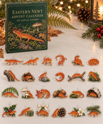 Eastern Newt advent calendar with 24 custom-shaped flat acrylic charms and printed dimensional artwork 2026 - 24-Day Countdown, Acrylic Charms