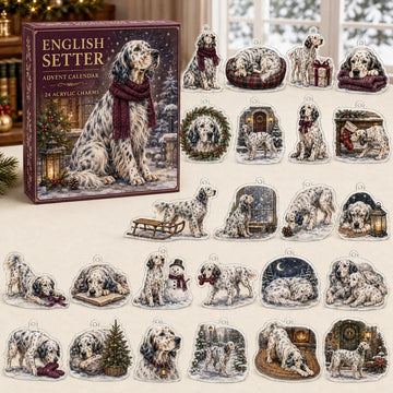 English Setter Winter Advent Calendar 2026 - 24-Day Countdown, Acrylic Charms