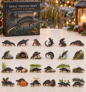 Great Crested Newt advent calendar with 24 custom-shaped flat acrylic charms and printed dimensional artwork 2026 - 24-Day Countdown, Acrylic Charms