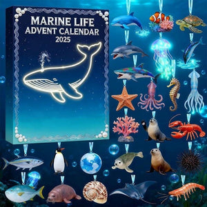 Marine Life Advent Calendar 24 Day Ocean Countdown Box Sea Animal Acrylic Holiday Christmas Ocean Science Gift For Kids