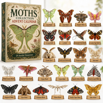 Moths Collection Advent Calendar 2026 - 24-Day Countdown, Acrylic Charms Every Day Bring New Suprises