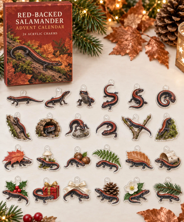 Red-Backed Salamander Advent Calendar 2026 - 24-Day Countdown, Acrylic Charms Every Day Bring New Suprises
