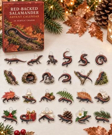Red-Backed Salamander advent calendar with 24 custom-shaped flat acrylic charms and printed dimensional artwork 2026 - 24-Day Countdown, Acrylic Charms