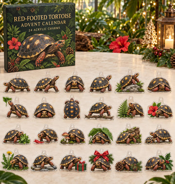 Red-Footed Tortoise advent calendar with 24 custom-shaped flat acrylic charms and printed dimensional artwork 2026 - 24-Day Countdown, Acrylic Charms