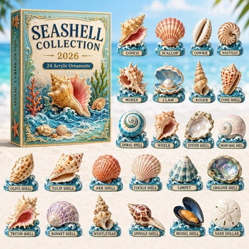 Seashell Collection Advent Calendar 2026 - 24-Day Countdown, Acrylic Charms Every Day Bring New Suprises