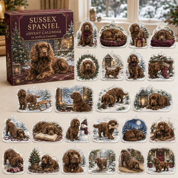 Sussex Spaniel Winter Advent Calendar 2026 - 24-Day Countdown, Acrylic Charms