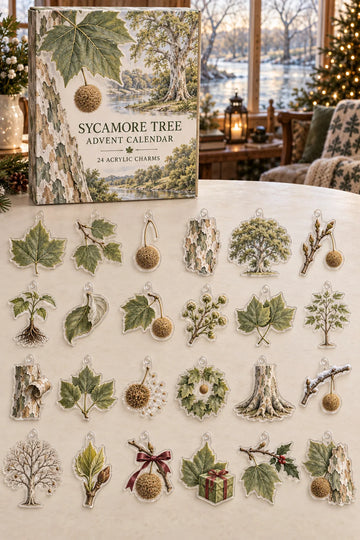 Sycamore Tree advent calendar with 24 custom-shaped flat acrylic charms and printed dimensional artwork 2026 - 24-Day Countdown, Acrylic Charms