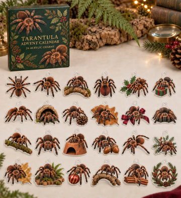 Tarantula advent calendar with 24 custom-shaped flat acrylic charms and printed dimensional artwork 2026 - 24-Day Countdown, Acrylic Charms