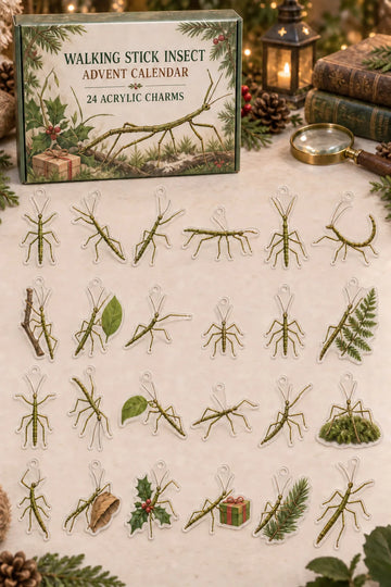 Walking Stick Insect advent calendar with 24 custom-shaped flat acrylic charms and printed dimensional artwork 2026 - 24-Day Countdown, Acrylic Charms