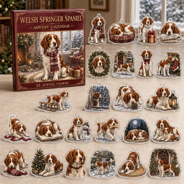 Welsh Springer Spaniel Winter Advent Calendar 2026 - 24-Day Countdown, Acrylic Charms