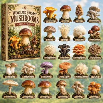 Woodland Harvest Mushrooms Advent Calendar 2026 - 24-Day Countdown, Acrylic Charms Every Day Bring New Suprises