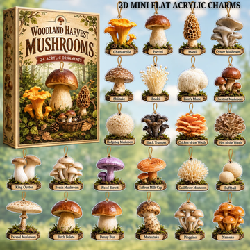 Woodland Harvest Mushrooms Advent Calendar 2026 24 Day Festive Countdown Acrylic Charms Blind Box Gift For Nature Lovers