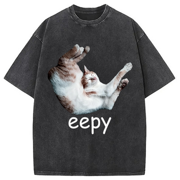 Personality fashion Silly Sleepy Cat Meme Washed T-Shirt