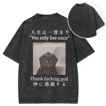 Personality fashion Funny Melancholy Cat Back Washed T-Shirt