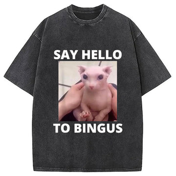 Personality fashion Bingus Cat Meme Washed T-Shirt