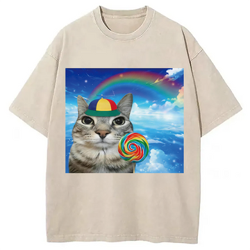 Personality fashion Wholesome Rainbow Cat Washed T-Shirt